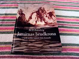 Ny bok av Bo R Holmberg