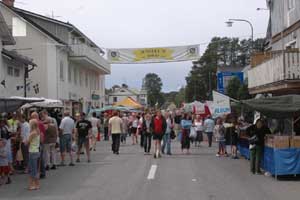 Junsele marknad 2008