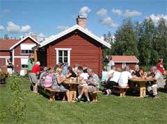 Mo by caf&eacute; 2007