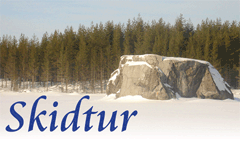 Botils sten i Storsj&ouml;n